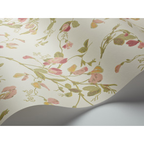 Cole & Son - Archive Anthology - Sweet Pea 100/6028