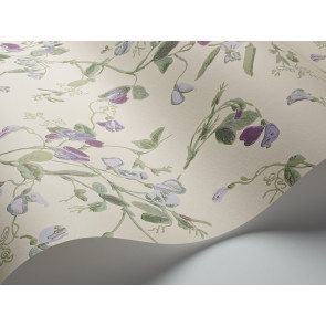 Cole & Son - Archive Anthology - Sweet Pea 100/6030