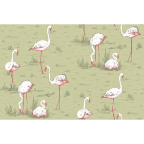 Cole & Son - Icons - Flamingos 112/11038