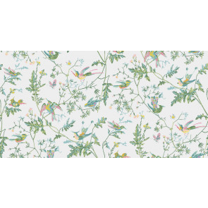 Cole & Son - Icons - Hummingbirds 112/4015