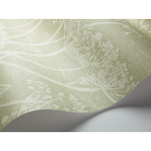 Cole & Son - Icons - Cow Parsley 112/8029