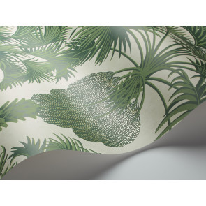 Cole & Son - Martyn Lawrence Bullard - Hollywood Palm 113/1004