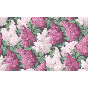 Cole & Son - Botanical Botanica - Lilac 115/1001