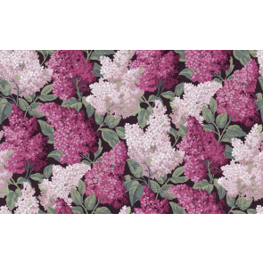 Cole & Son - Botanical Botanica - Lilac Grandiflora 115/15045