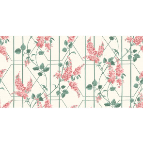 Cole & Son - Botanical Botanica - Wisteria 115/5012