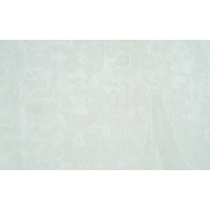 Dominique Kieffer - Moustique G.L. - Lagon 17101-003
