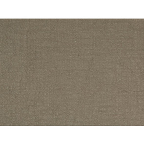 Dominique Kieffer - Grande Largeur - Taupe 17162-001