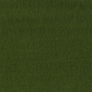 Dominique Kieffer - Désinvolte - The vert 17199-012