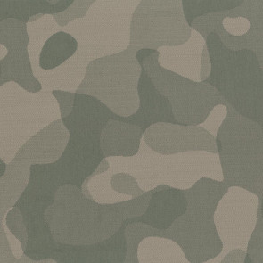 Dominique Kieffer - Chameleon - Lichen sable 17230-007