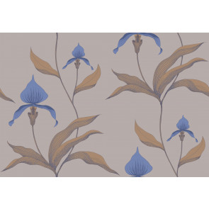 Cole & Son - New Contemporary I - Orchid 66/4032