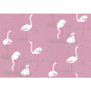 Cole & Son - New Contemporary I - Flamingos 66/6043