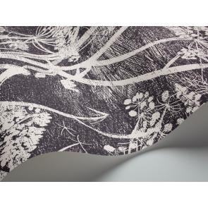 Cole & Son - New Contemporary I - Cow Parsley 66/7046