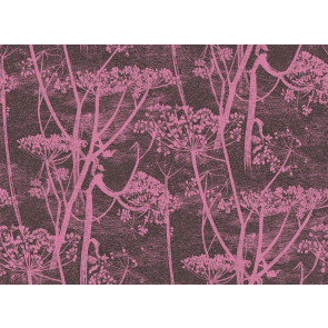 Cole & Son - New Contemporary I - Cow Parsley 66/7047