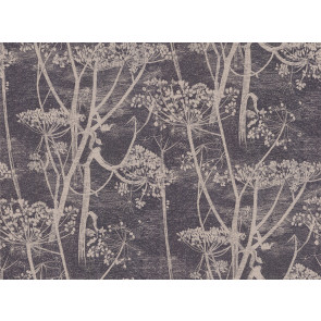 Cole & Son - New Contemporary I - Cow Parsley 66/7048