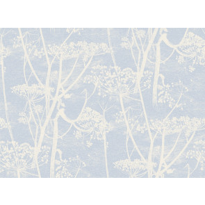 Cole & Son - New Contemporary I - Cow Parsley 66/7050