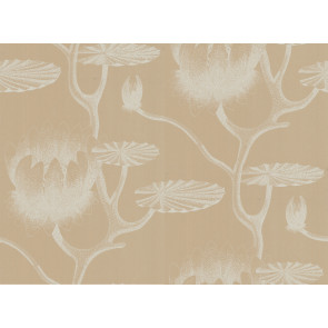 Cole & Son - New Contemporary II - Lily 69/3113