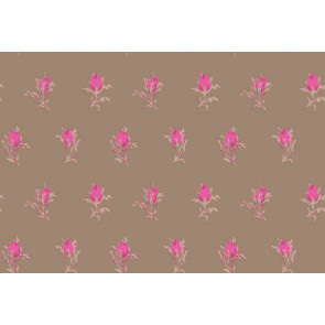 Cole & Son - Collection of Flowers - Rose Buds 81/4017