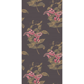 Cole & Son - Collection of Flowers - Madras Violet 81/6024