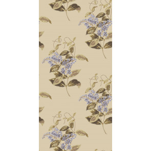 Cole & Son - Collection of Flowers - Madras Violet 81/6026