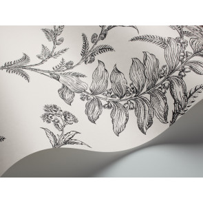 Cole & Son - Archive Traditional - Ludlow 88/1005