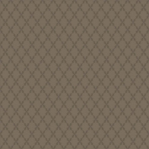 Cole & Son - Banbury - Victorian Trellis 91/5020
