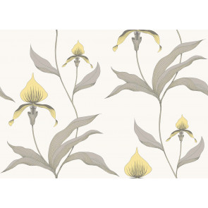 Cole & Son - Contemporary Restyled - Orchid 95/10057