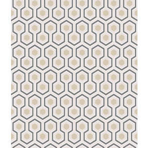 Cole & Son - Contemporary Restyled - Hicks Hexagon 95/3016