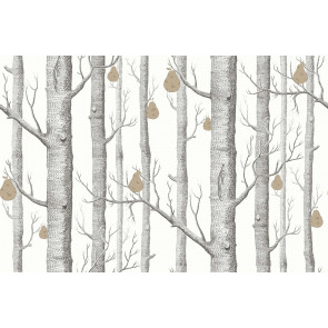 Cole & Son - Contemporary Restyled - Woods & Pears 95/5027