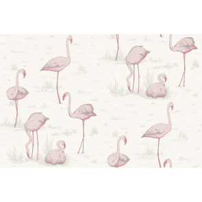 Cole & Son - Contemporary Restyled - Flamingos 95/8045