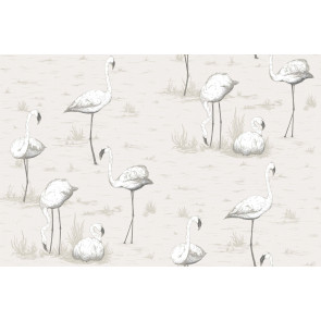 Cole & Son - Contemporary Restyled - Flamingos 95/8046