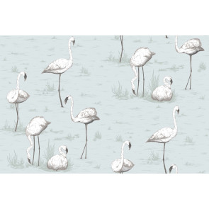 Cole & Son - Contemporary Restyled - Flamingos 95/8047