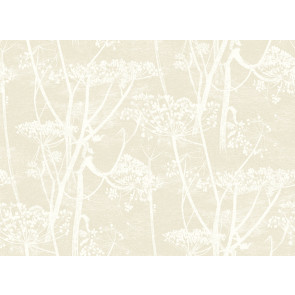 Cole & Son - Contemporary Restyled - Cow Parsley 95/9051