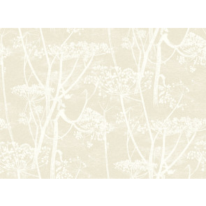 Cole & Son - Contemporary Restyled - Cow Parsley 95/9051