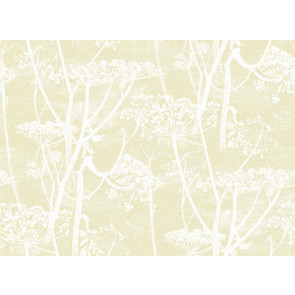 Cole & Son - Contemporary Restyled - Cow Parsley 95/9053