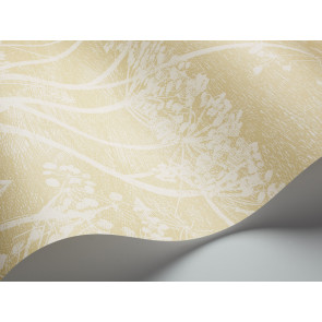 Cole & Son - Contemporary Restyled - Cow Parsley 95/9053