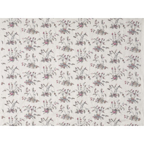Braquenie - Au jardin - B7658001 Celeste