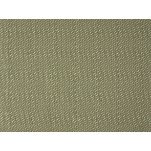 Braquenie - Montresor - B7663001 Buisson