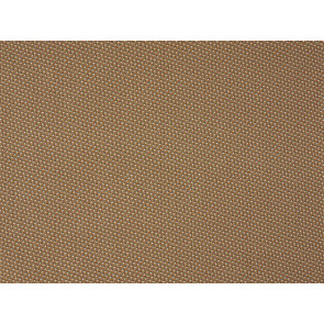 Braquenie - Montresor - B7663003 Miel