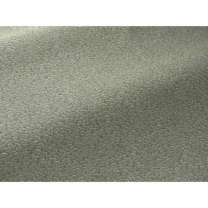 Braquenie - Cerilly - B7673002 Jardinet