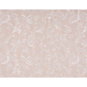 Braquenie - Mademoiselle Celestine - B7590004 Rose