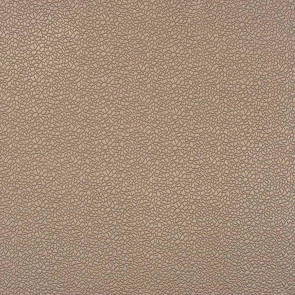Camengo - Cedre - 31030445 Gris