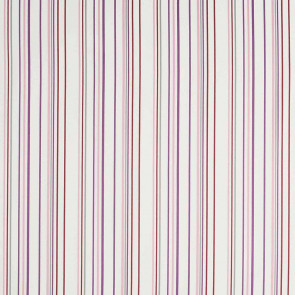Camengo - Direction - 32760221 Violet