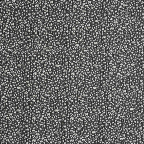 Camengo - Delice d'Oran - 8000344 Noir