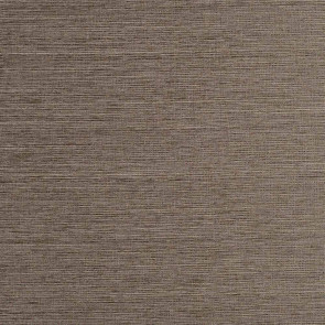 Camengo - Eclat - 8332197 Ecorce
