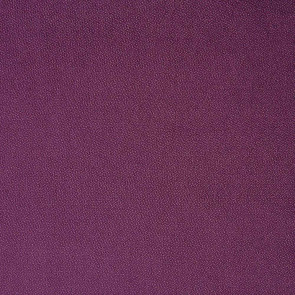 Camengo - 1er Acte - 8342141 Prune