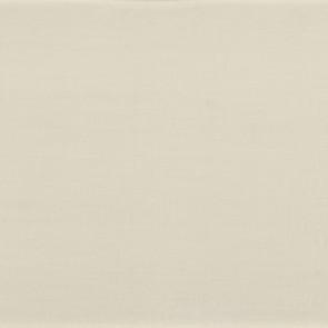 Casamance - Anthyllis - 38350122 Blanc Petale