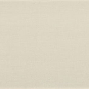 Casamance - Anthyllis - 38350122 Blanc Petale