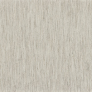 Casamance - Anthyllis - 38350237 Neige Poudree