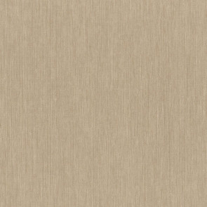 Casamance - Jerico - Acoara Chamapgne 73490202