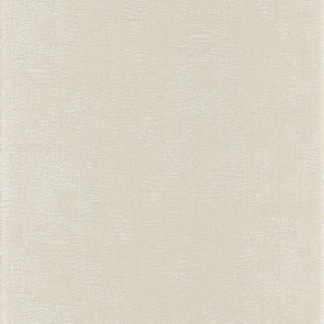 Casamance - Synopsis - Focus - 73720120 Blanc